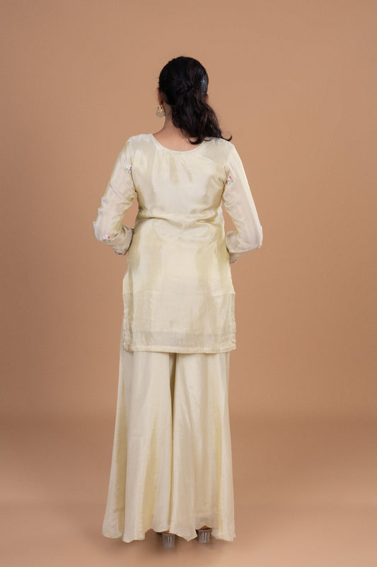 Champagne Glow Embroidered Anarkali Set