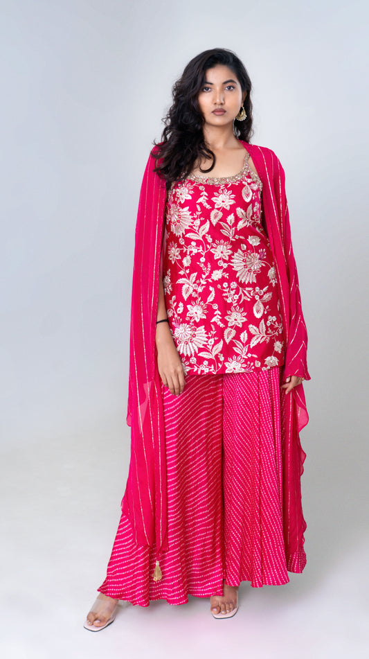 Rani Pink Embroidered Sharara Set with Striped Dupatta