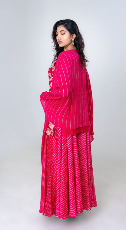 Rani Pink Embroidered Sharara Set with Striped Dupatta