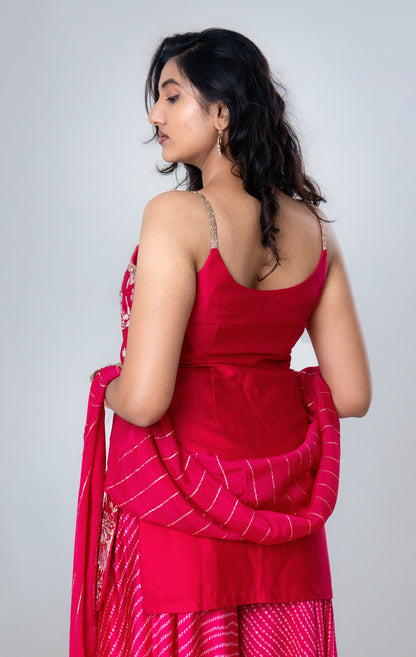 Rani Pink Embroidered Sharara Set with Striped Dupatta