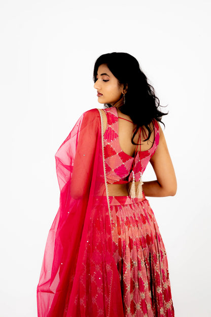 Rani Pink Mirror-Work Lehenga Set with Embroidered Blouse & Organza Dupatta