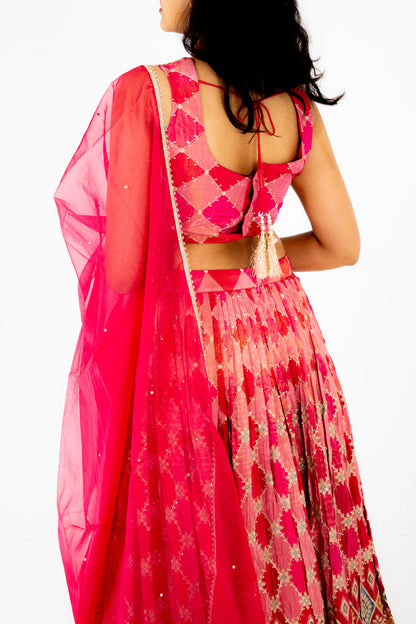 Rani Pink Mirror-Work Lehenga Set with Embroidered Blouse & Organza Dupatta